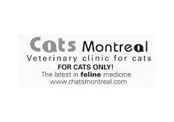 cat vet in montreal