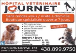 veterinarian in montreal