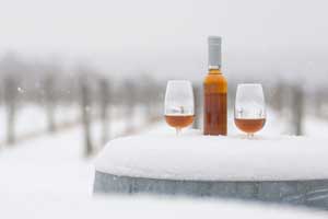 ice wine tour in montreal